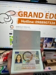 Album Visa Tháng 10.2023