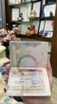 Album Visa Tháng 11.2023