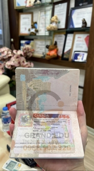 Album Visa Tháng 11.2023
