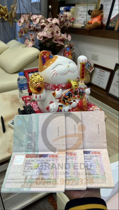 Album Visa Tháng 11.2023