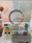 Album Visa Tháng 11.2023