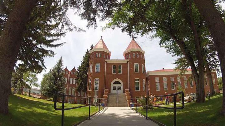 DU HỌC SÍP 2020, VISA 100%, CƠ HỘI ĐỊNH CƯ CHÂU ÂU