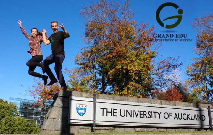 8 Trường Đại Học Chất Lượng Nhất Tại New Zealand