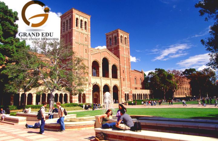 Ưu điểm nổi bật khi du học Hà Lan