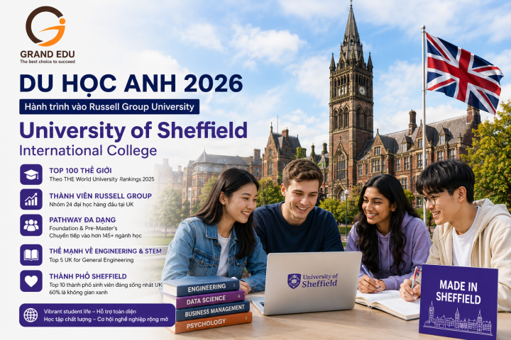 UNIVERSITY OF SHEFFIELD INTERNATIONAL COLLEGE VÀ HÀNH TRÌNH VÀO RUSSELL GROUP UNIVERSITY